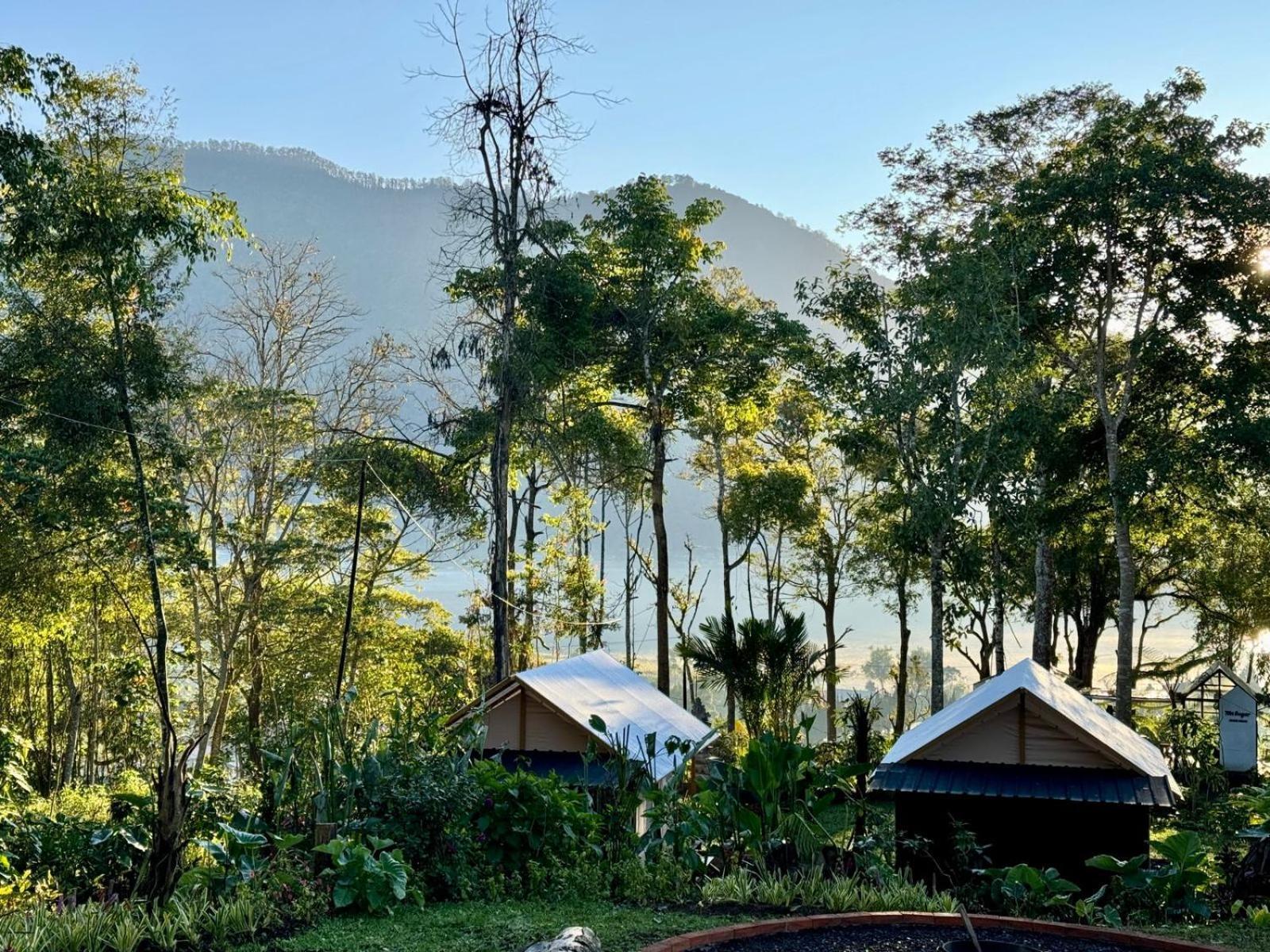 Green Lava Lake View Glamping Bedugul Eksteriør billede